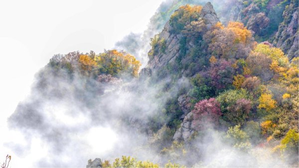 富途证券 河北涞水野三坡：“十一”长假新业态引领风潮